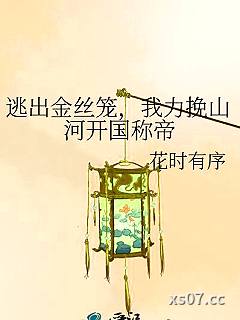 逃出金丝笼，我力挽山河开国称帝小说封面-花时有序-现代都市