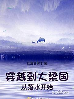 穿越到大梁国从落水开始小说封面-红烧豆腐干-历史