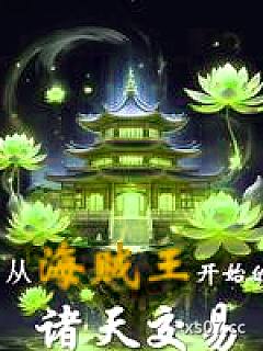 从海贼王开始的诸天交易小说封面-空调西瓜WiFi-武侠