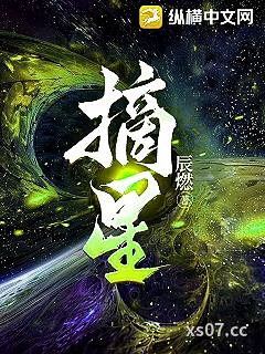 摘星小说封面-辰燃-历史