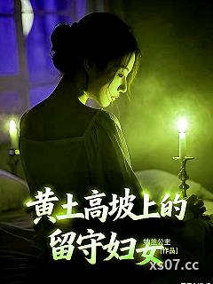 黄土高坡上的留守妇女小说封面-纳兰公主-都市