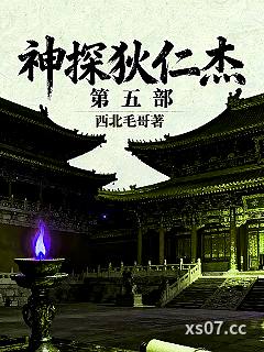 神探狄仁杰第五部小说封面-西北毛哥-推理悬疑