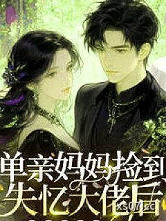 单亲妈妈捡到失忆大佬后，豪门圈炸了小说封面-杨金豆-都市