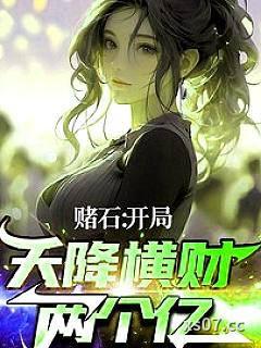 赌石：开局天降横财两个亿 作者：浪迹天涯带着刀 分类：小说