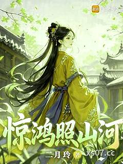 惊鸿照山河小说封面-二月玲-都市