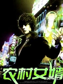 农村女婿 作者：雪中银狐 分类：小说