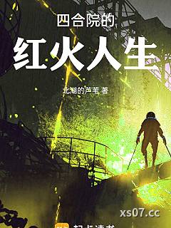 四合院的红火人生小说封面-北湖的芦苇-都市