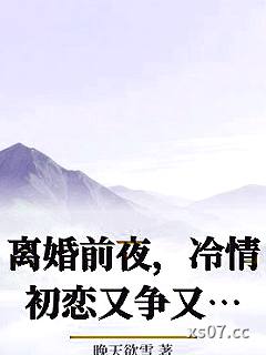 离婚前夜，冷情初恋又争又抢小说封面-晚天欲雪-言情