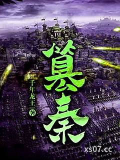 篡秦 作者：千年龙王l 分类：小说