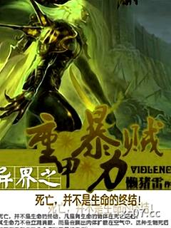 异界之重甲暴力贼 作者:懒猪雷 分类:小说