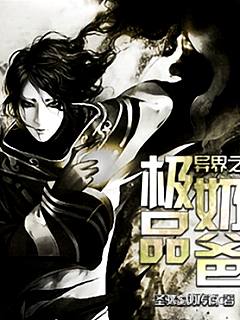 异界之极品奶爸