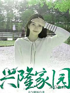 兴隆家园小说封面-力气做饭-都市