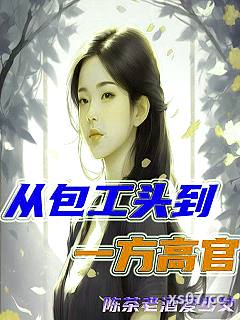 从包工头到一方高官 作者:陈茶老酒爱少女 分类:小说
