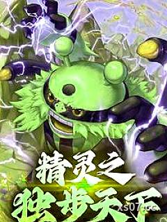 精灵宝可梦之登神长街