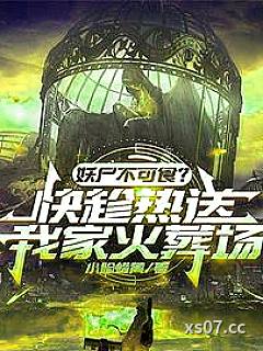 最后的十三城 作者：小脸蜡黄 分类：小说