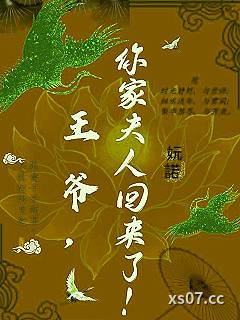 王爷，你家夫人回来了 作者：妧诺