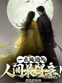 一点风流气，人间最得意！小说封面-若隐若闲-历史