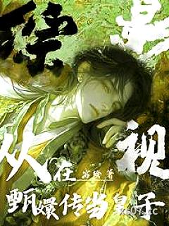 综影视：从在甄嬛传当皇子开始小说封面-宫绘-言情