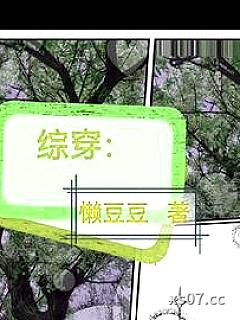 综穿： 作者：懒豆豆 分类：小说