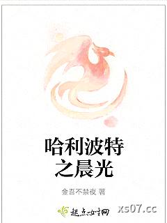 哈利波特之晨光 作者：金吾不禁夜 分类：小说
