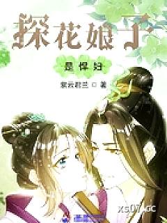 探花娘子是悍妇 作者:紫云君兰 分类:小说