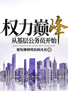 权力巅峰：从基层公务员开始小说封面-爱吃螺蛳鸡的陆凡兄-都市