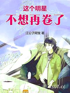 华娱1995 作者:江公子阿宝 分类:小说