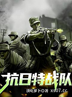 抗日特战队小说封面-淡吃萝卜-都市