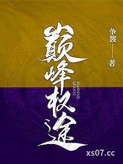 巅峰权途