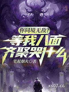 你同境无敌？等我八面齐聚哭什么 作者：笔起烟火 分类：小说
