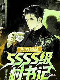 权力巅峰：SSSS级村书记！小说封面-荒苑爆红-都市