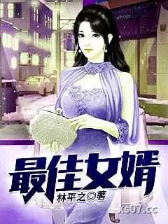 最佳女婿 作者：林平之 分类：小说