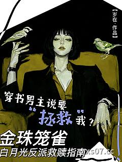 金珠笼雀：白月光反派救赎指南小说封面-岁在-轻小说