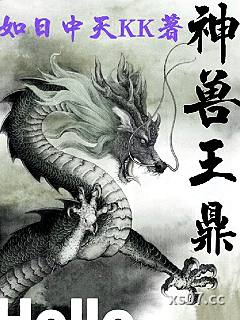 神兽王鼎小说封面-如日中天kk-都市