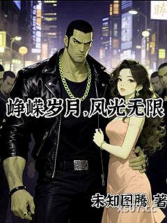 峥嵘岁月，风光无限小说封面-未知图腾-科幻