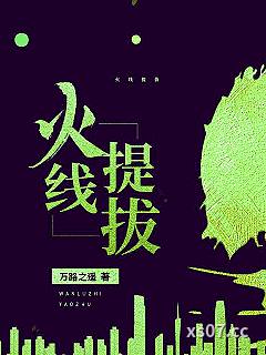 火线提拔小说封面-万路之遥-都市
