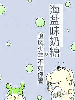 海盐味奶糖小说封面-追风少年不如你-言情