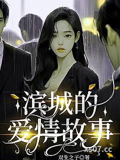 滨城的爱情故事小说封面-双生之子-都市