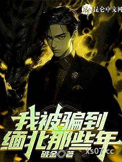我被骗到缅北的那些年 作者：破金 分类：小说