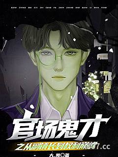官场鬼才之从副镇长到权利巅峰 作者：大-帅 分类：小说