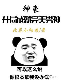 神豪：开局成就完美男神小说封面-北葵小向暖-都市