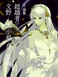 文野：文豪集邮手册小说封面-涸鱼-轻小说