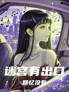 迷宫有出口，回忆没有小说封面-城市金鱼-都市
