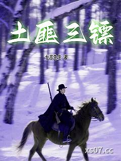 土匪三镖小说封面-七言先生-都市