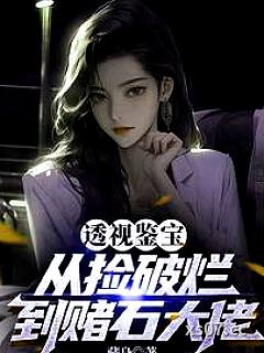 透视鉴宝：从捡破烂到赌石大佬