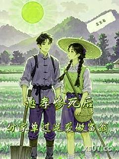 愚孝惨死后，分家单过逆袭做富翁 作者：言宝