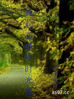 风起在梦华时光里小说封面-云唐驰远-都市