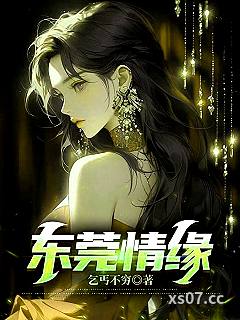 东莞情缘小说封面-乞丐不穷-都市