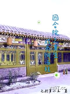 四合院之重生成为何雨柱小说封面-毛利夏小正-言情