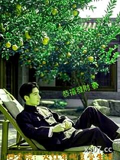 四合院：火红年代享受生活小说封面-恭禧发财-言情